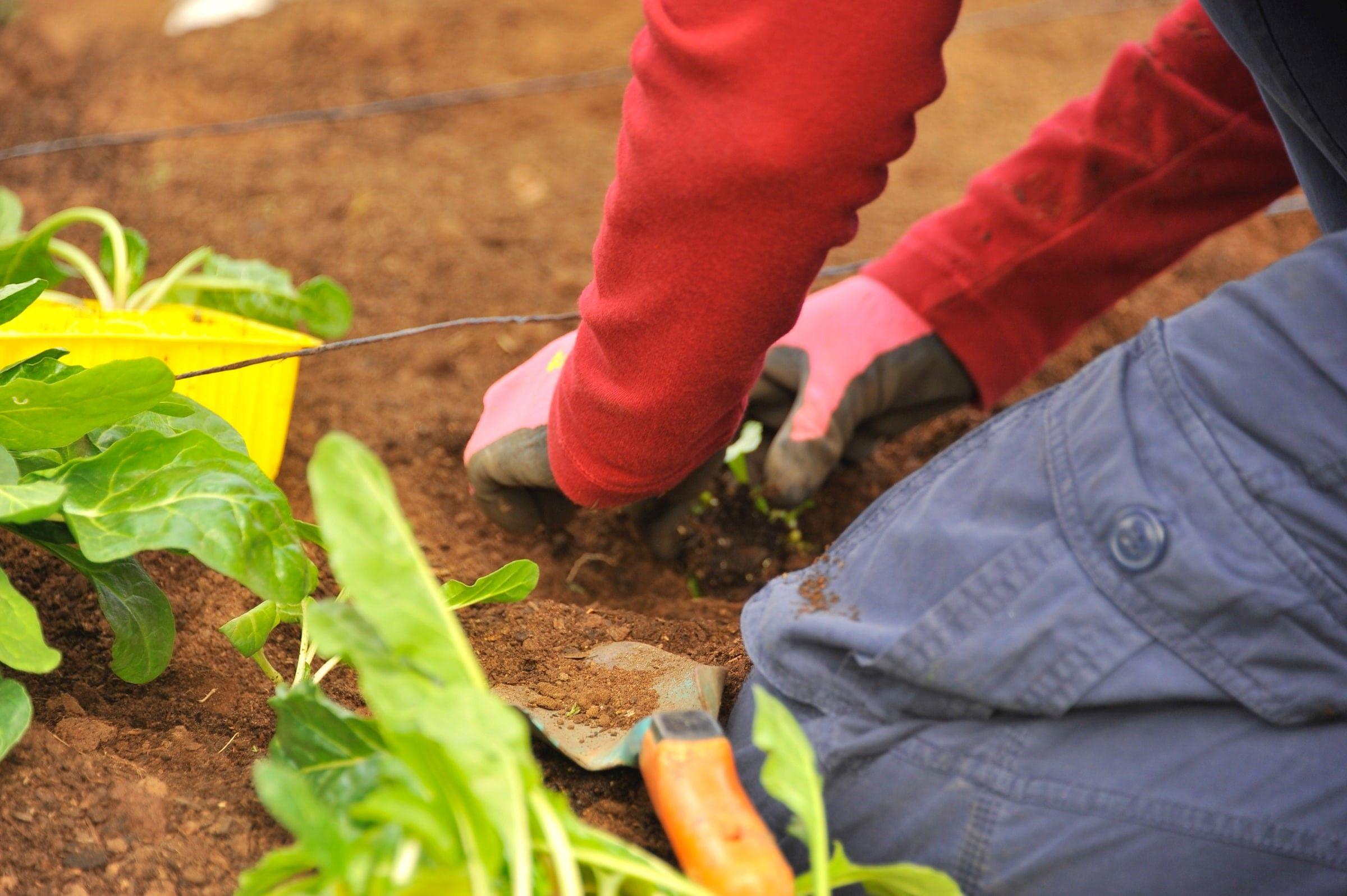 Hitta trädgårdshjälp på Tyresö via Yepstr
